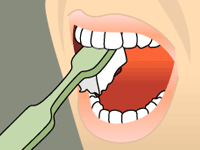 A toothbrush cleaning the outer, inner, and chewing surfaces of teeth.